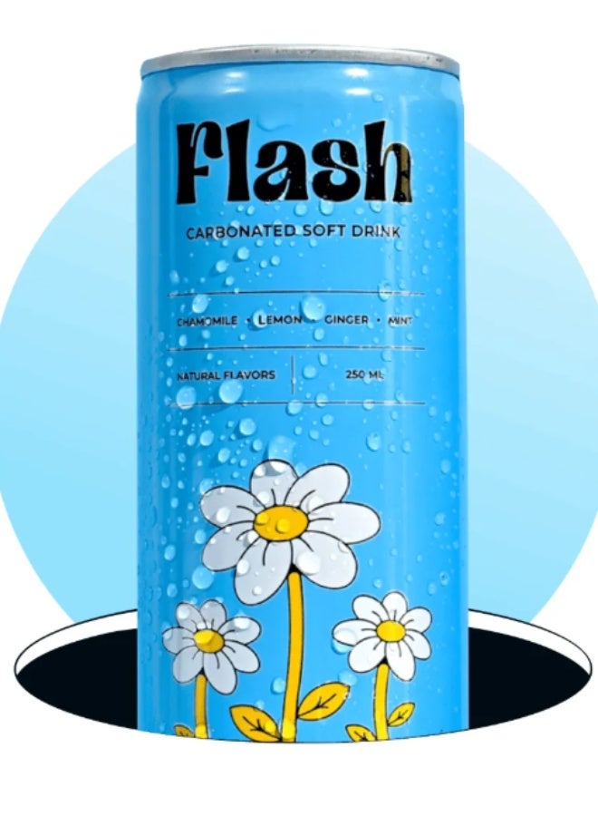 فلاش مشروب غازي 250 مل – بابونج، ليمون، زنجبيل، نعناع | مشروب منعش بنكهـات طبيعية - Image 2